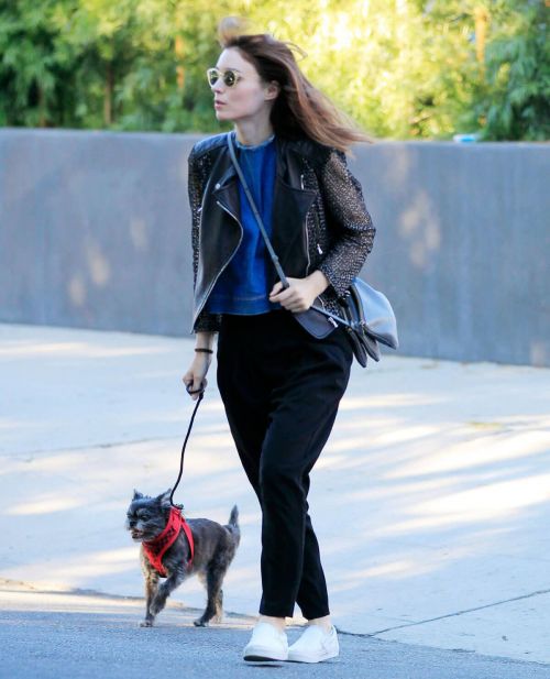 Rooney Mara Out with Her Dog in New York 3
