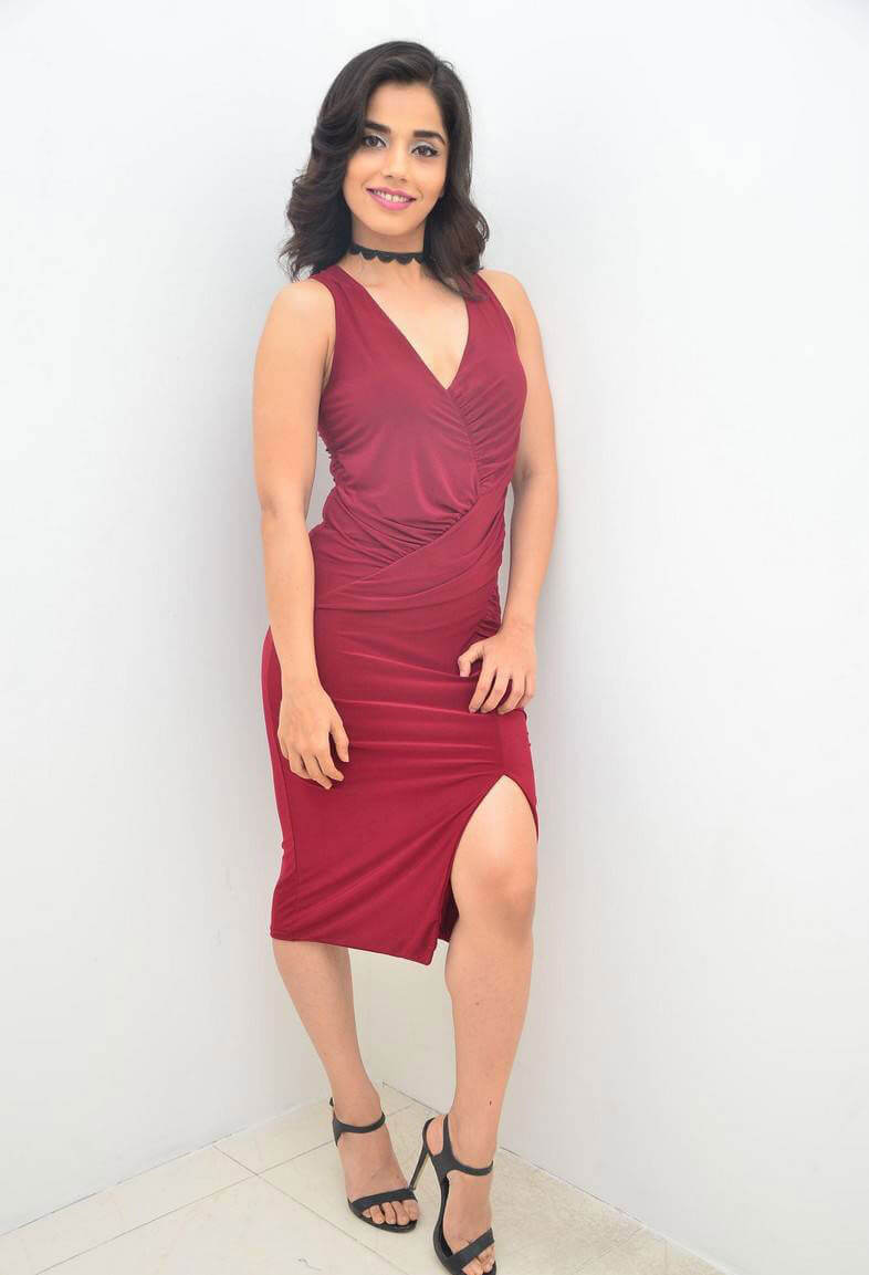 Aparnaa Bajpai Photoshoot in Maroon Dress Images