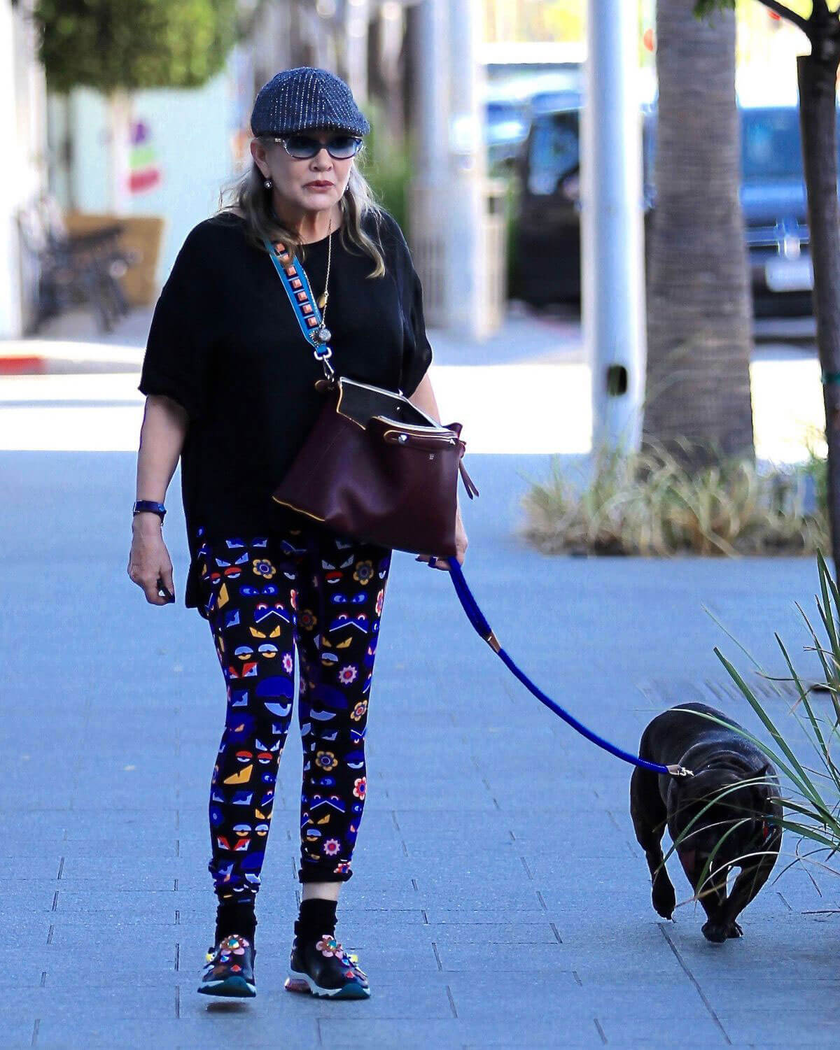 Carrie Fisher Stills Walks Her Dog Out in Los Angeles