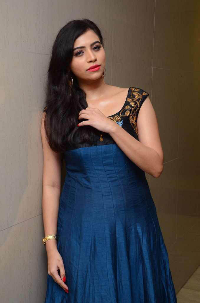 Priyanka at Kotikokkadu Audio Launch Images