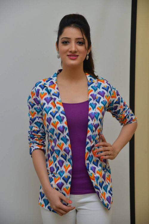 Richa Panai at Eedu Gold Ehe Interview Photos 6