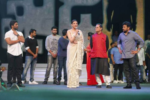 Chiranjeevi Khaidi No 150 Movie Pre Release Function Photos 10