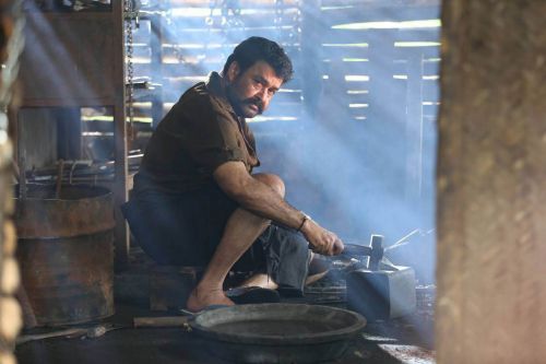 Mohanlal Manyampuli Telugu Movie Photos 2