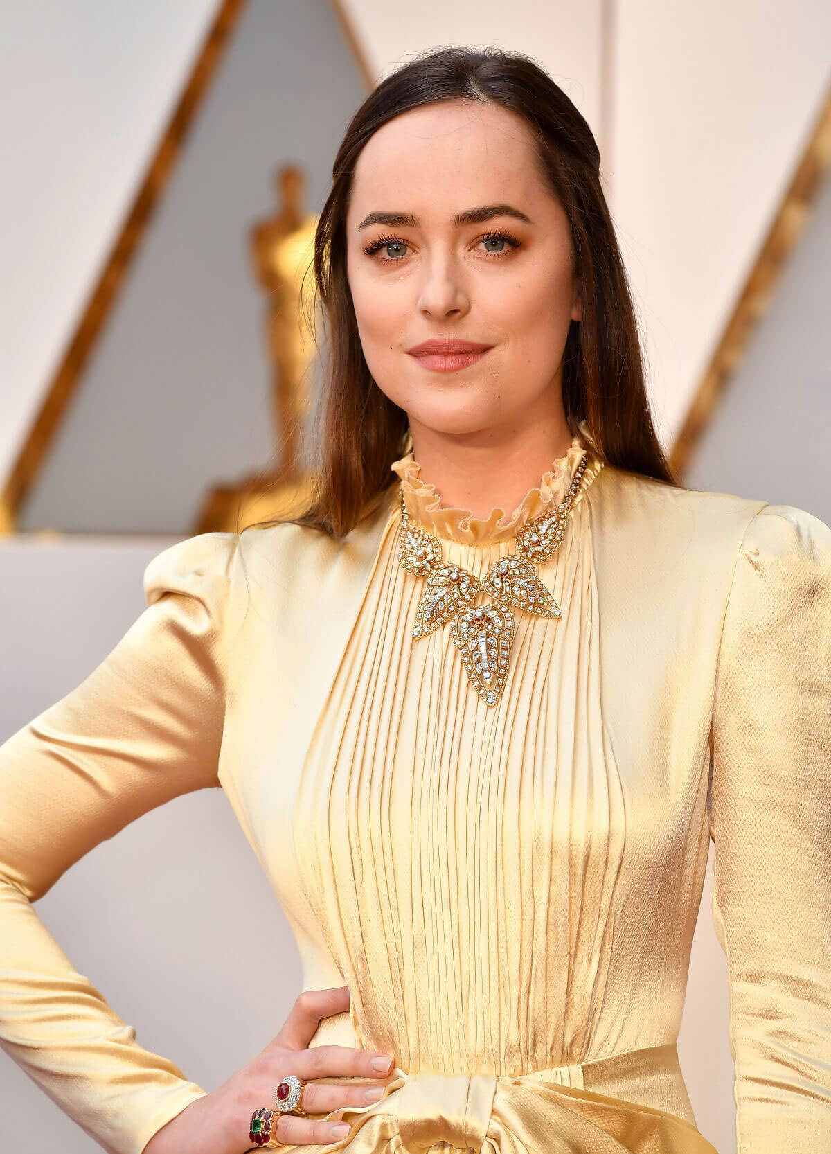 Dakota Johnson Stills at 89th Annual Academy Awards in Hollywood