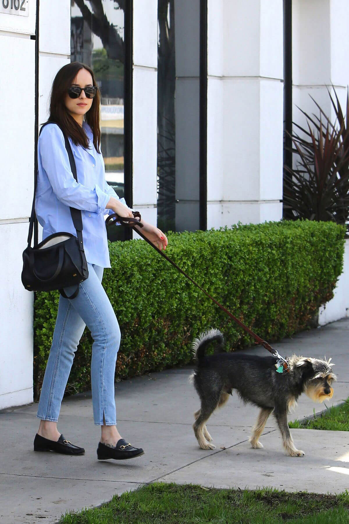 Dakota Johnson Stills in Jeans Out in West Hollywood