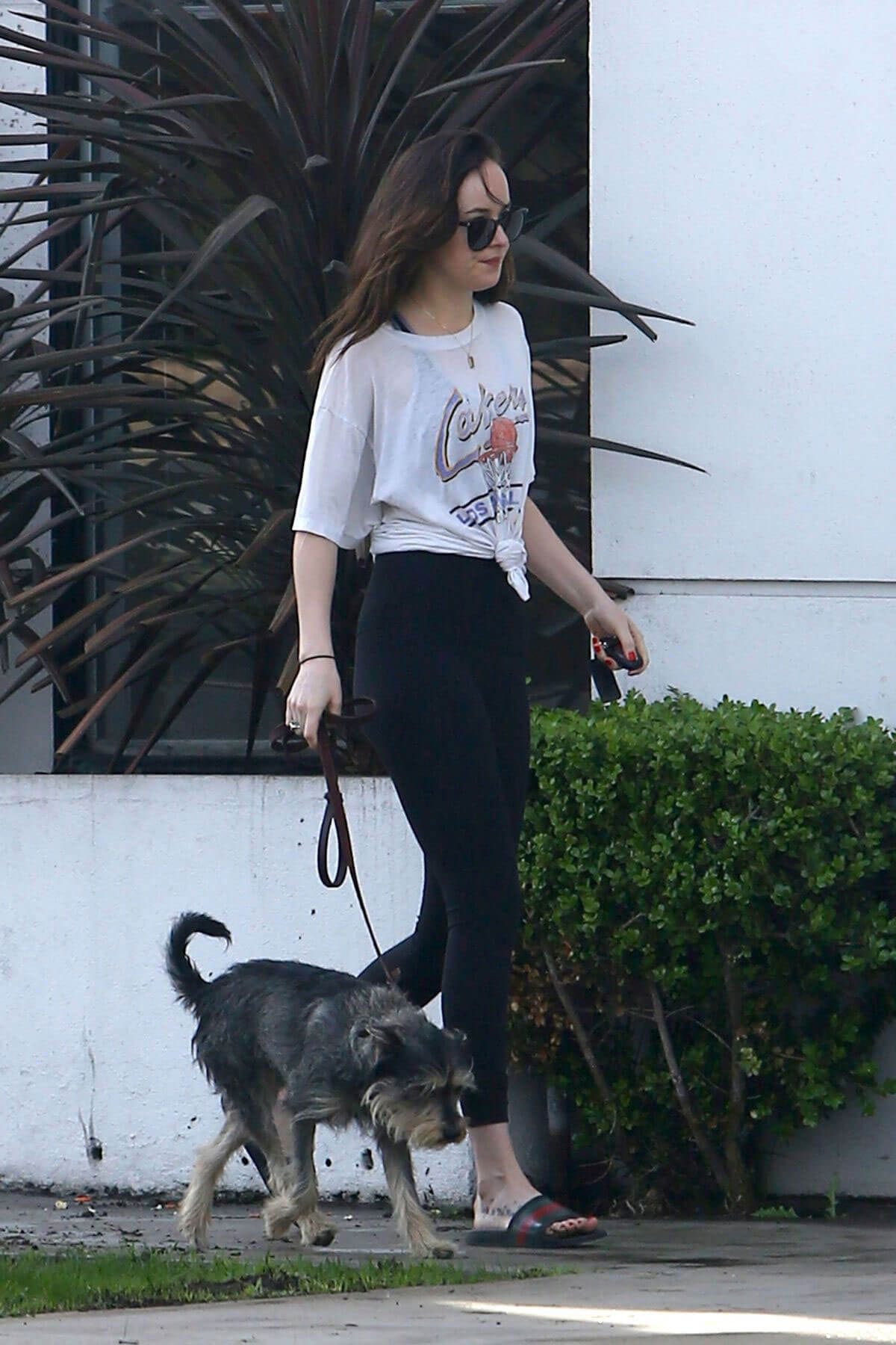 Dakota Johnson Stills Out and About in West Hollywood