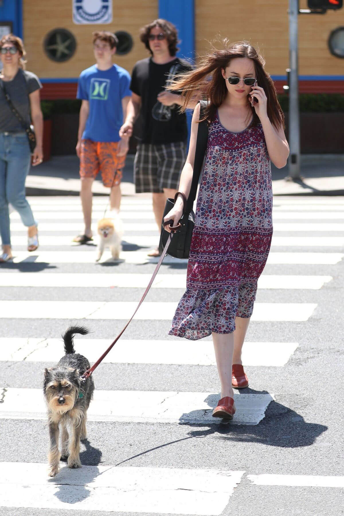 Dakota Johnson Stills Walks Her Dog Out in Santa Monica