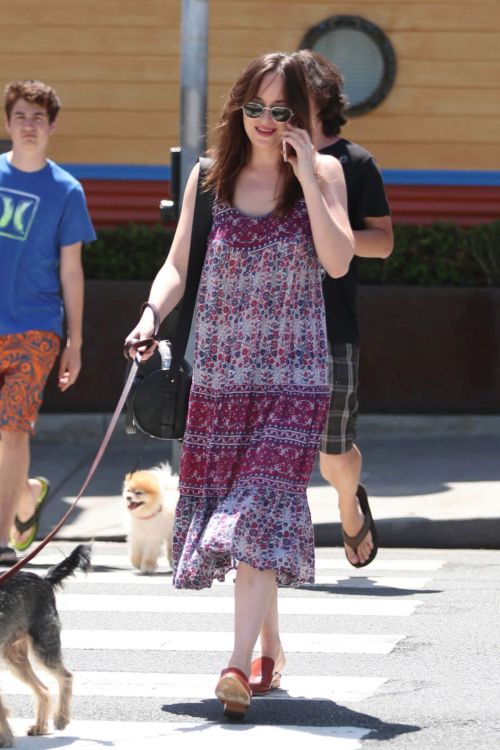 Dakota Johnson Stills Walks Her Dog Out in Santa Monica 2