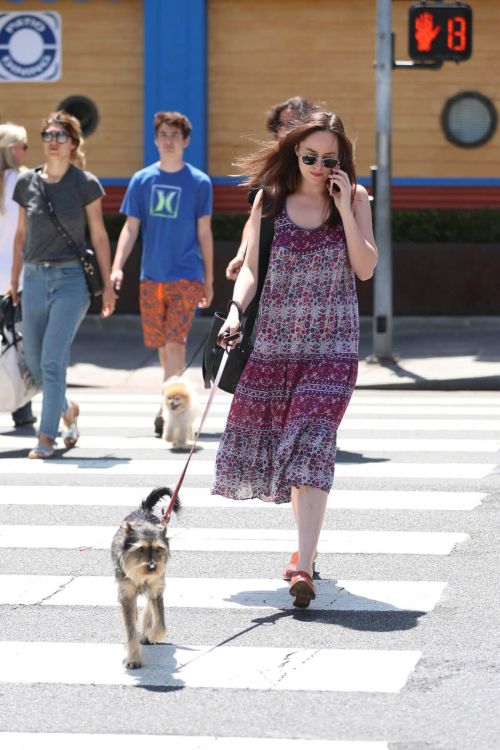 Dakota Johnson Stills Walks Her Dog Out in Santa Monica 3