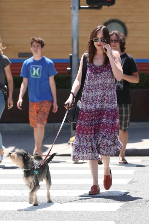 Dakota Johnson Stills Walks Her Dog Out in Santa Monica 7