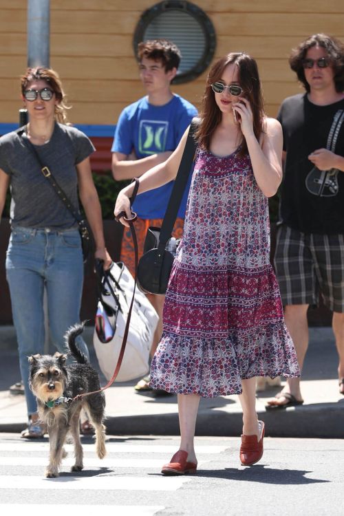 Dakota Johnson Stills Walks Her Dog Out in Santa Monica 8
