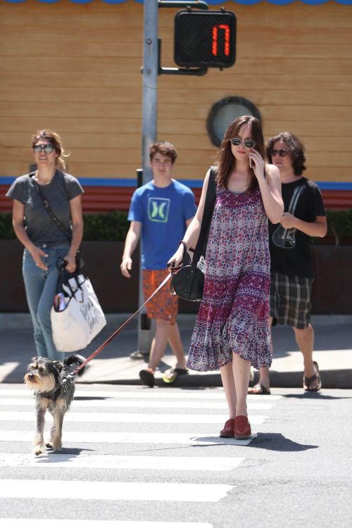 Dakota Johnson Stills Walks Her Dog Out in Santa Monica 9
