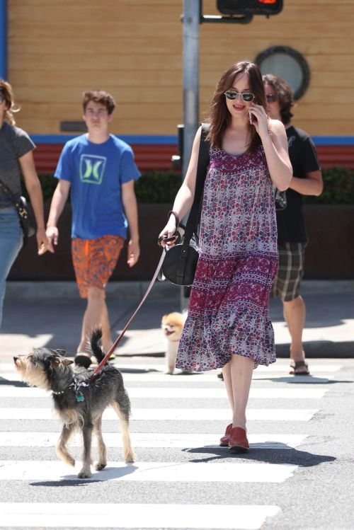 Dakota Johnson Stills Walks Her Dog Out in Santa Monica 11