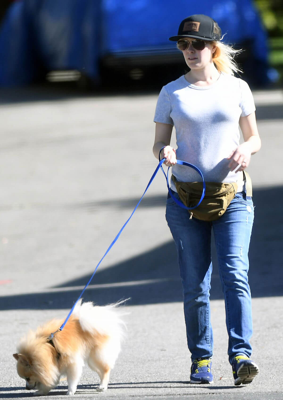 Heidi Montag Stills Walks Her Dog Out in Los Angeles