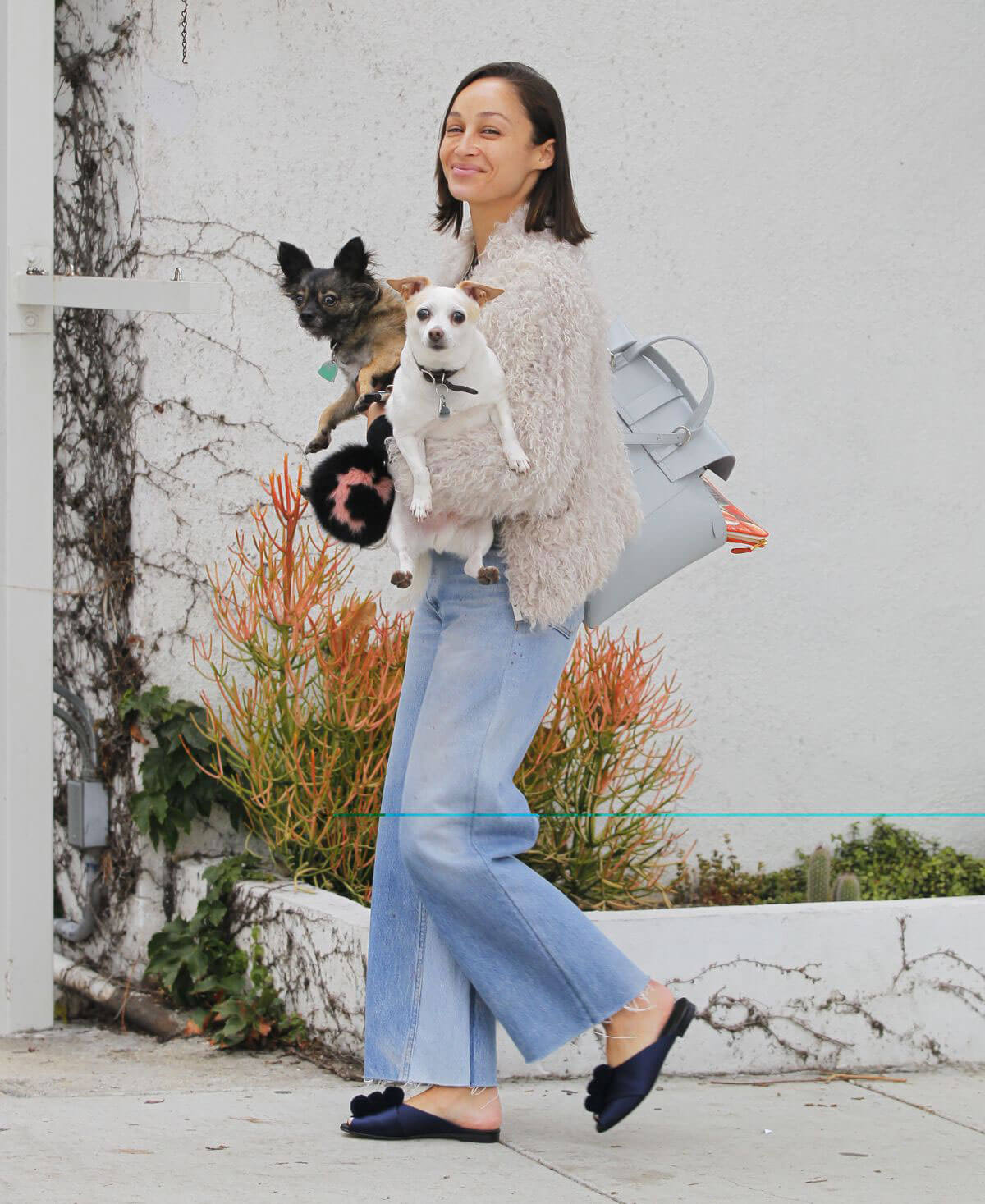 Cara Santana Walks Her Dogs Out in Beverly Hills 1