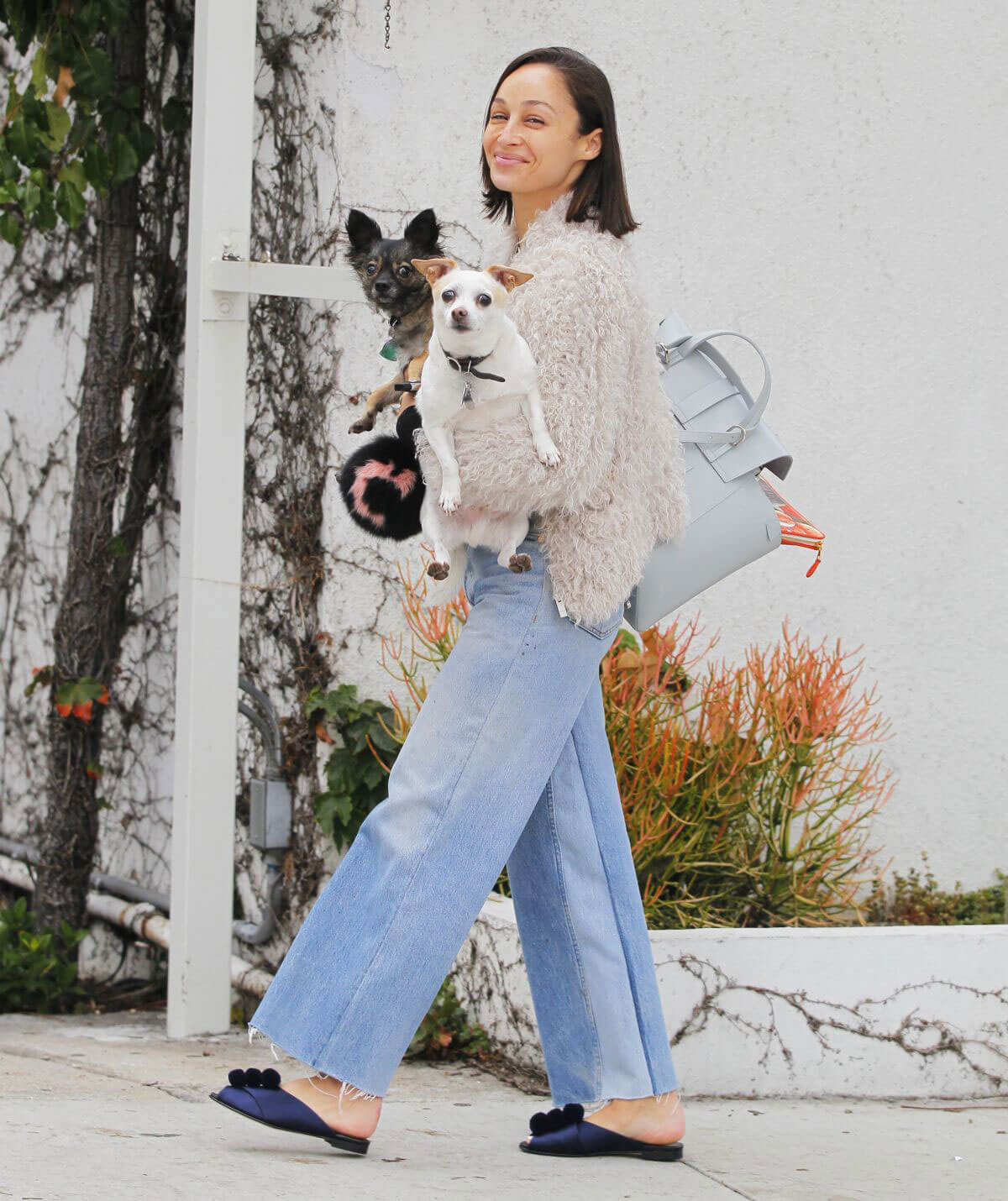 Cara Santana Walks Her Dogs Out in Beverly Hills 5