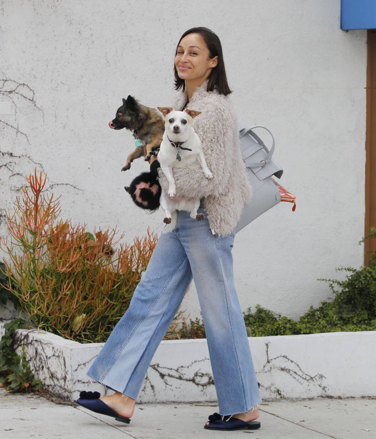 Cara Santana Walks Her Dogs Out in Beverly Hills 8