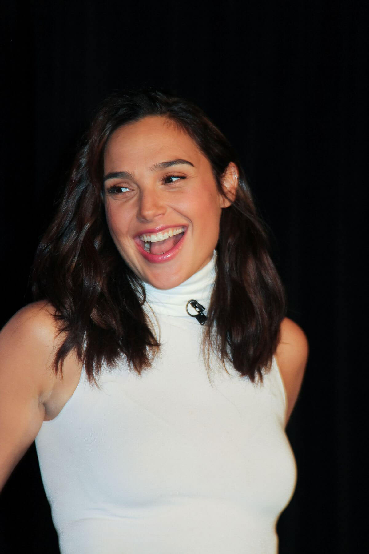 Gal Gadot at Wonder Woman Press Conference in Culver City