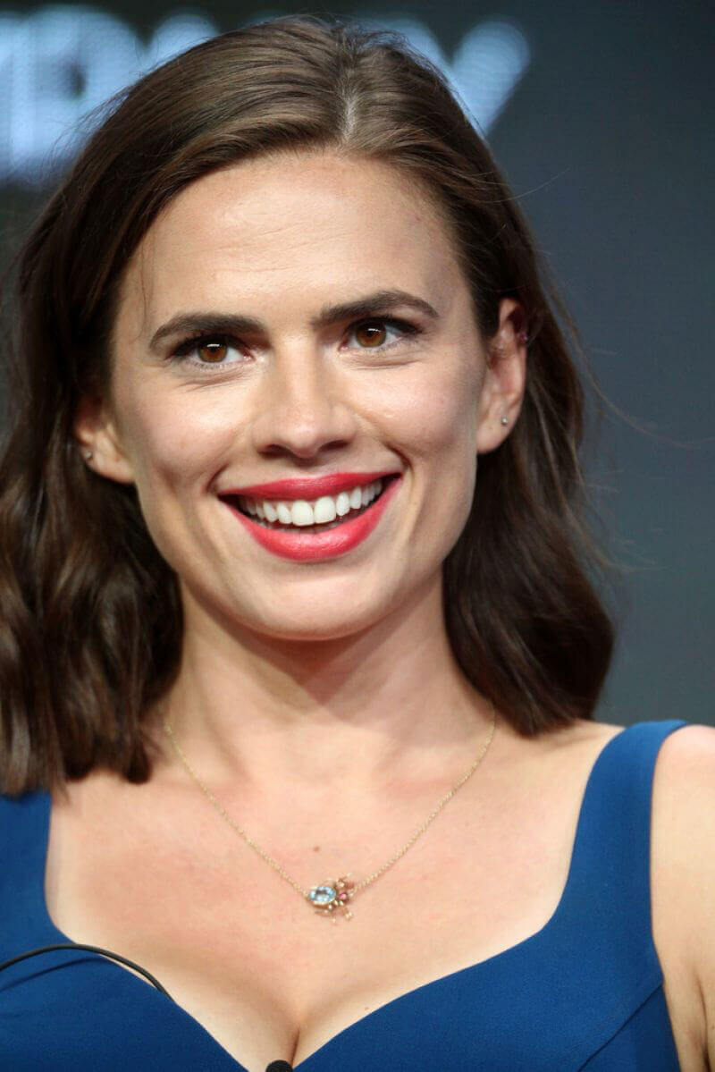 Hayley Atwell Stills at 2017 Summer TCA Tour in Beverly Hills