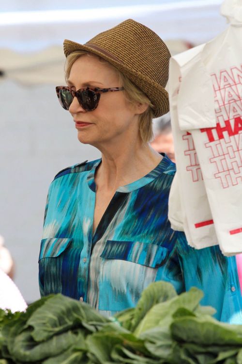 Jane Lynch Stills Shopping at Farmer