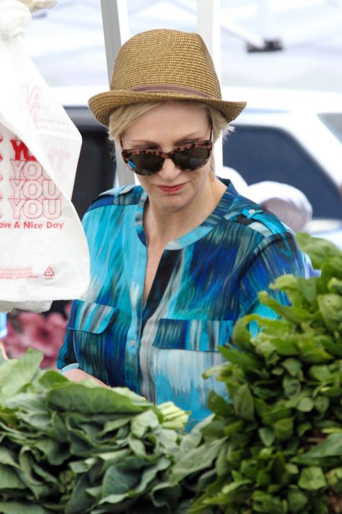 Jane Lynch Stills Shopping at Farmer