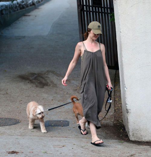 Minka Kelly Stills at a Dog Park in West Hollywood 3