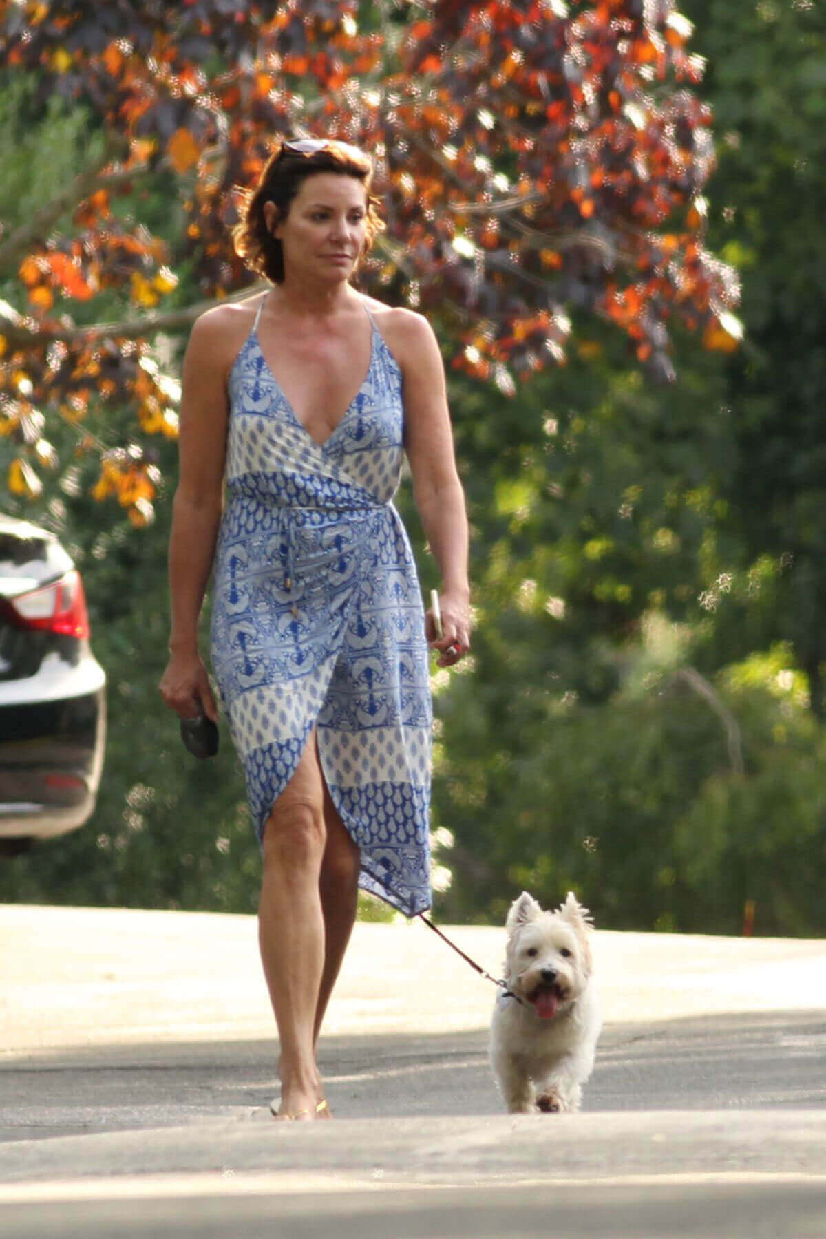 Luann de Lesseps Stills Walks Her Dog Out in Hamptons