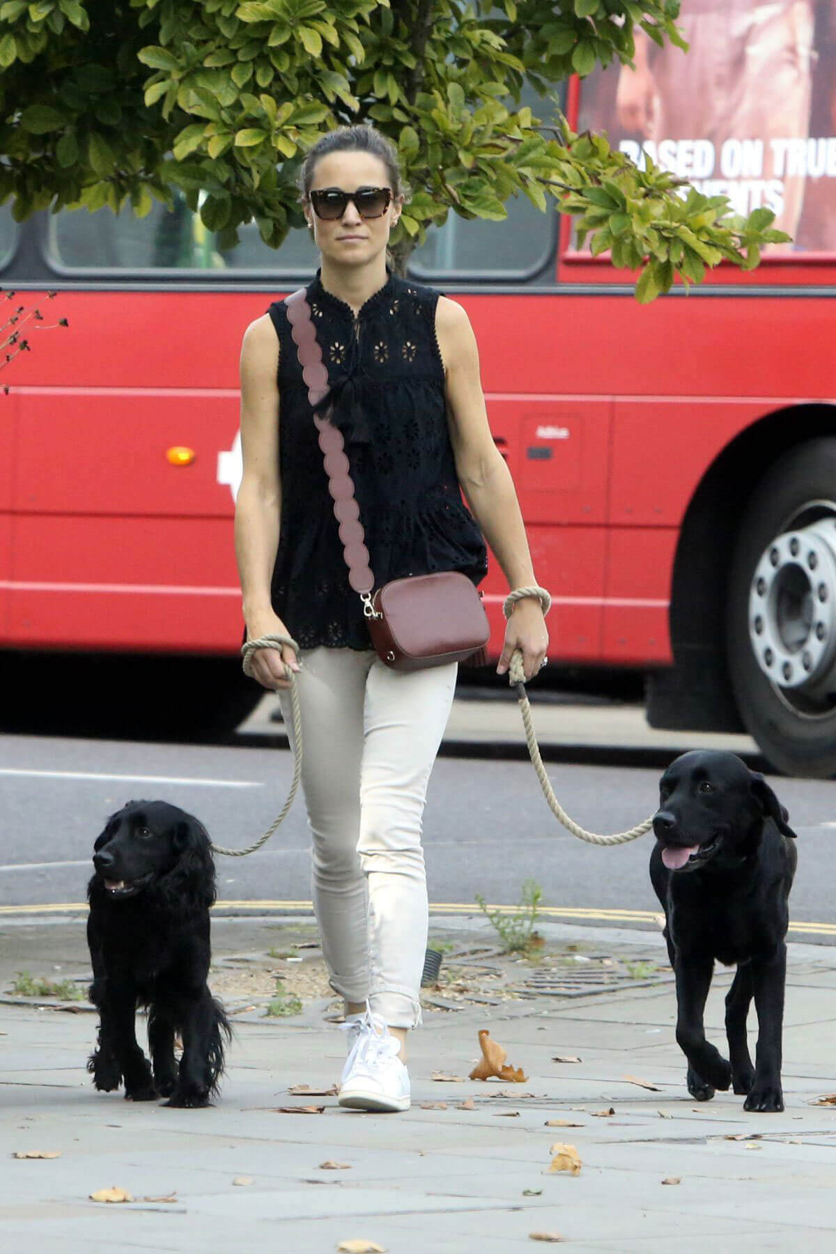 Pippa Middleton Stills Walks Her Dogs at Kings Road in London