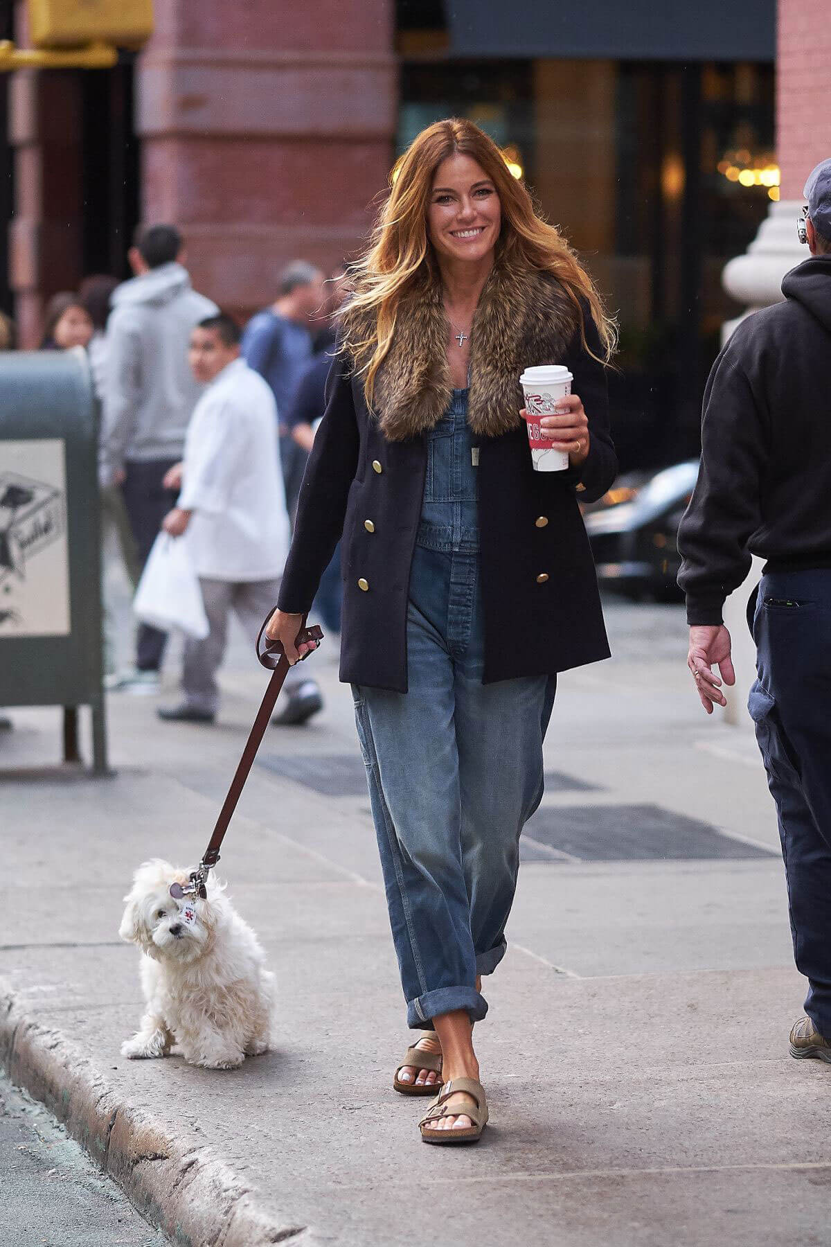 American Author Kelly Bensimon Stills Out with Her Dog in New York