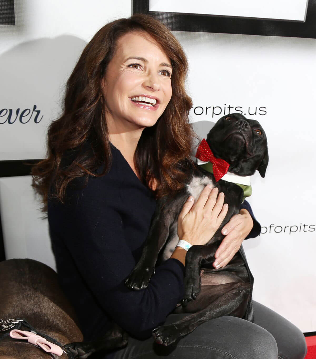 Kristin Davis Stills 7th Annual Stand Up for Pits at Avalon Nightclub in Hollywood