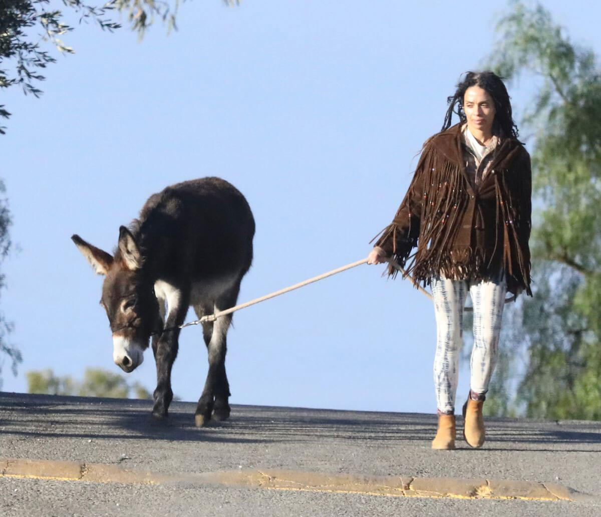 Lisa Bonet Stills Out with a Donkey and a Dog Images