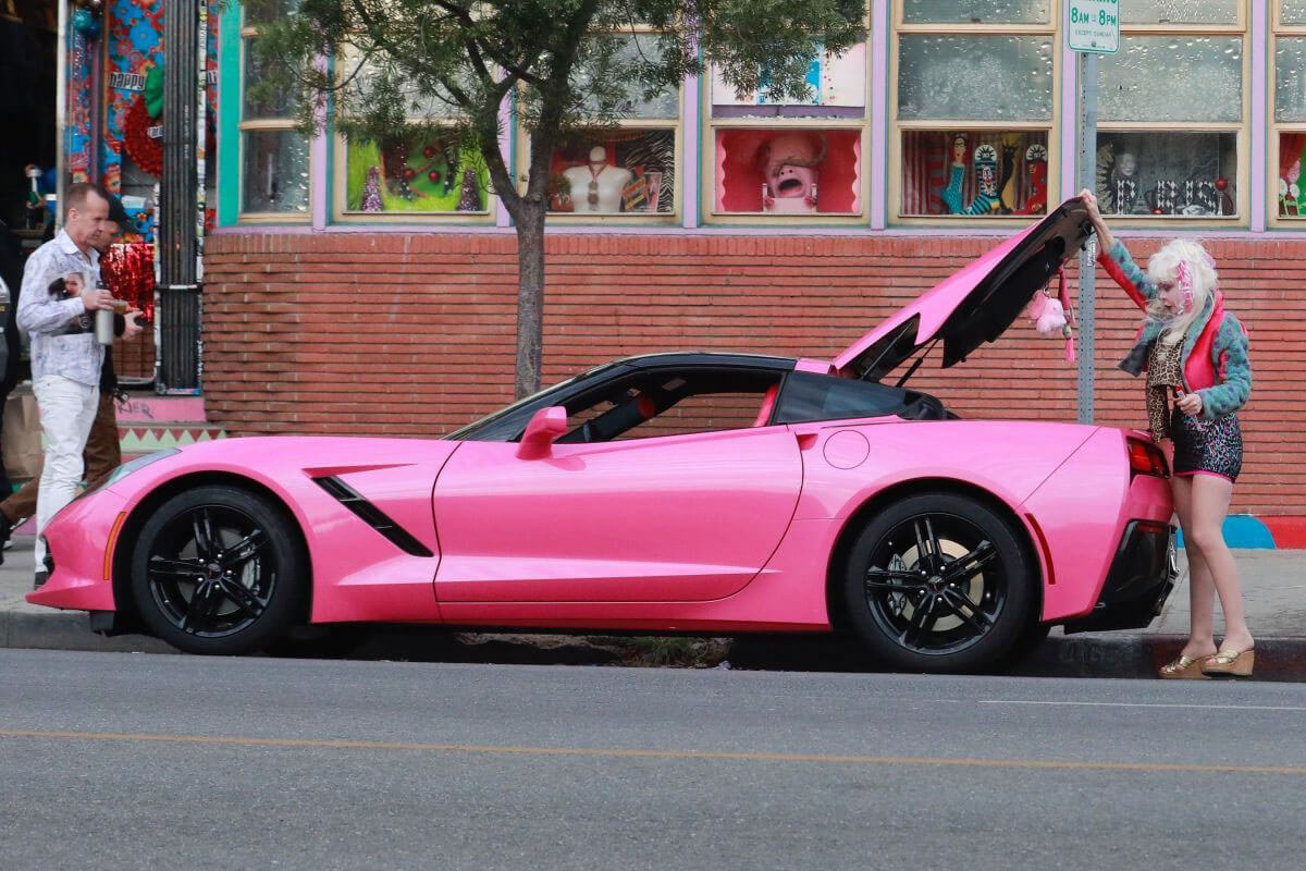 Angelyne Stills Out Shopping in Hollywood 2017/12/23