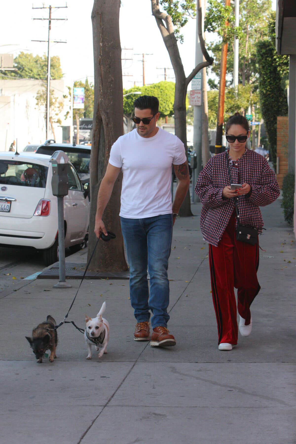 Cara Santana and Jesse Metcalfe Stills Out with Their Dogs in West Hollywood