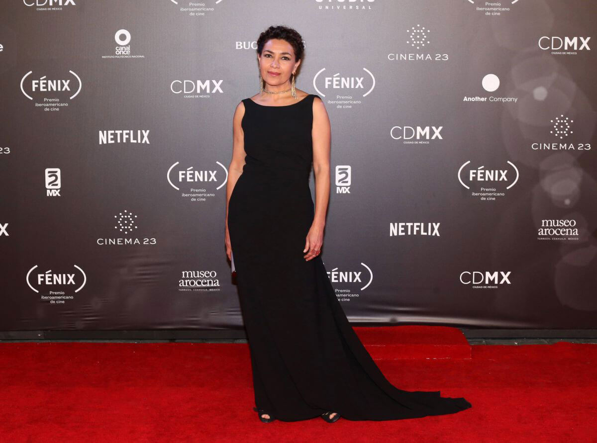 Dolores Heredia Stills at Fenix Film Awards in Mexico City 2017/12/06