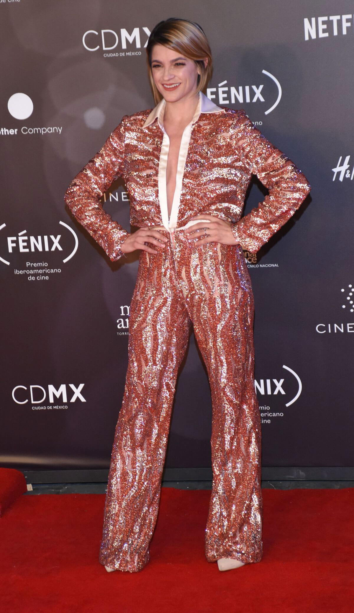 Irene Azuela Stills at Fenix Film Awards in Mexico City 2017/12/06