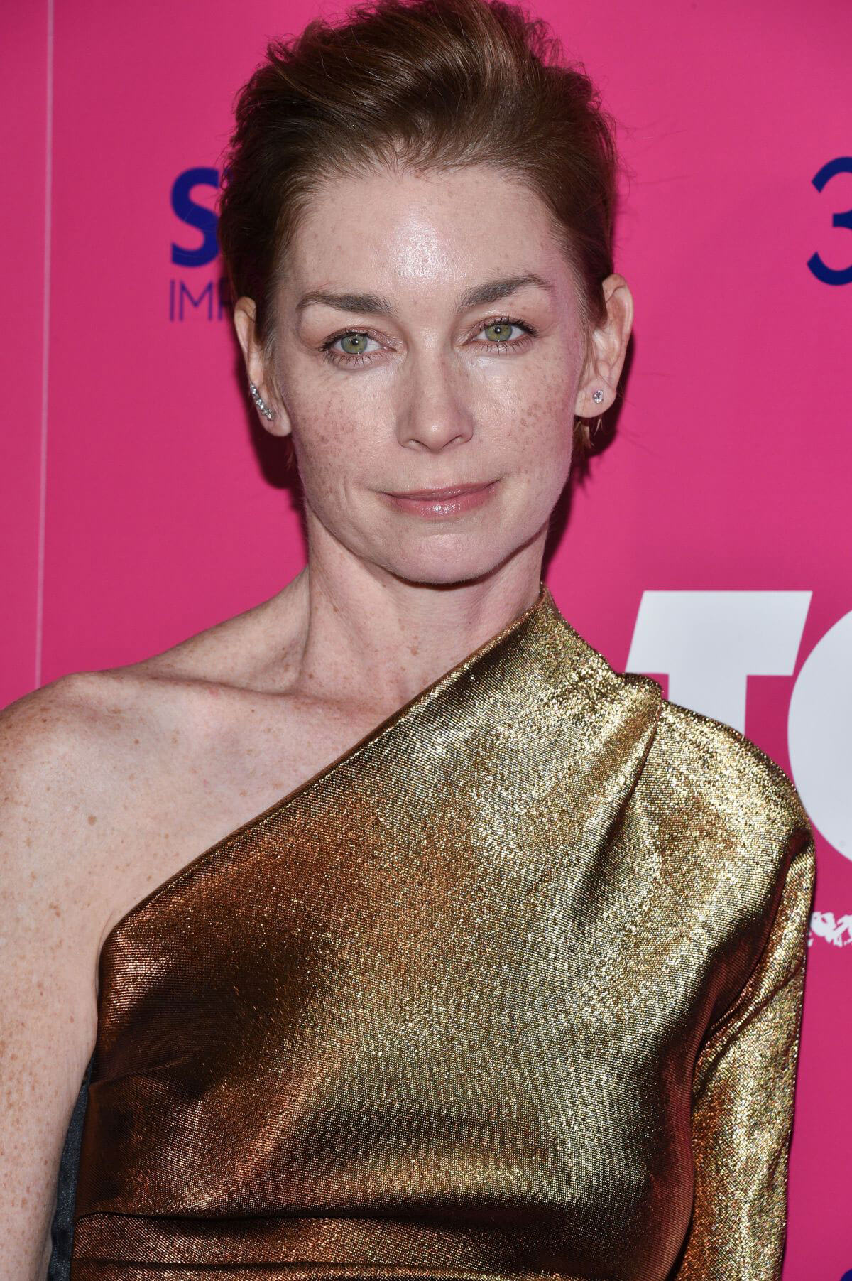 Julianne Nicholson Stills at I, Tonya Premiere in Los Angeles 2017/12/05