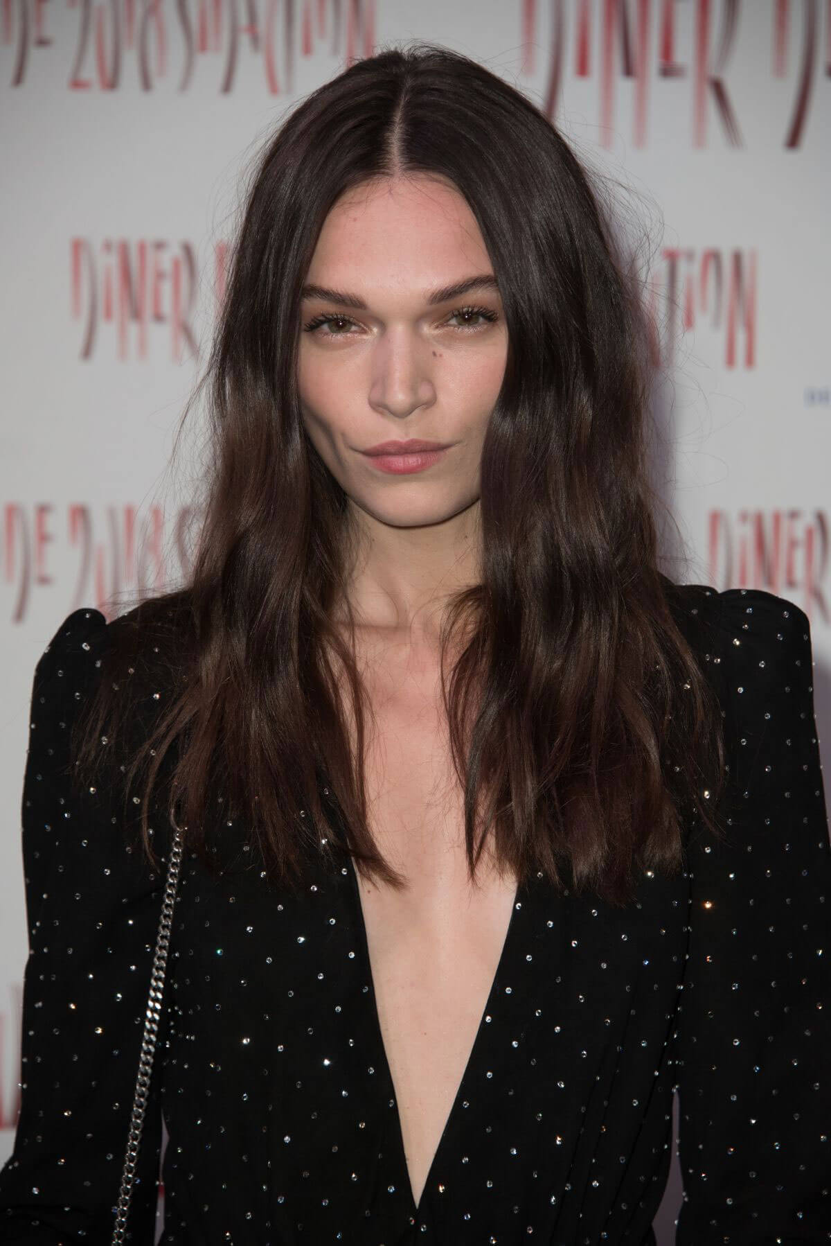 Anna Brewster Stills at Sidaction Gala Dinner in Paris 2018/01/25