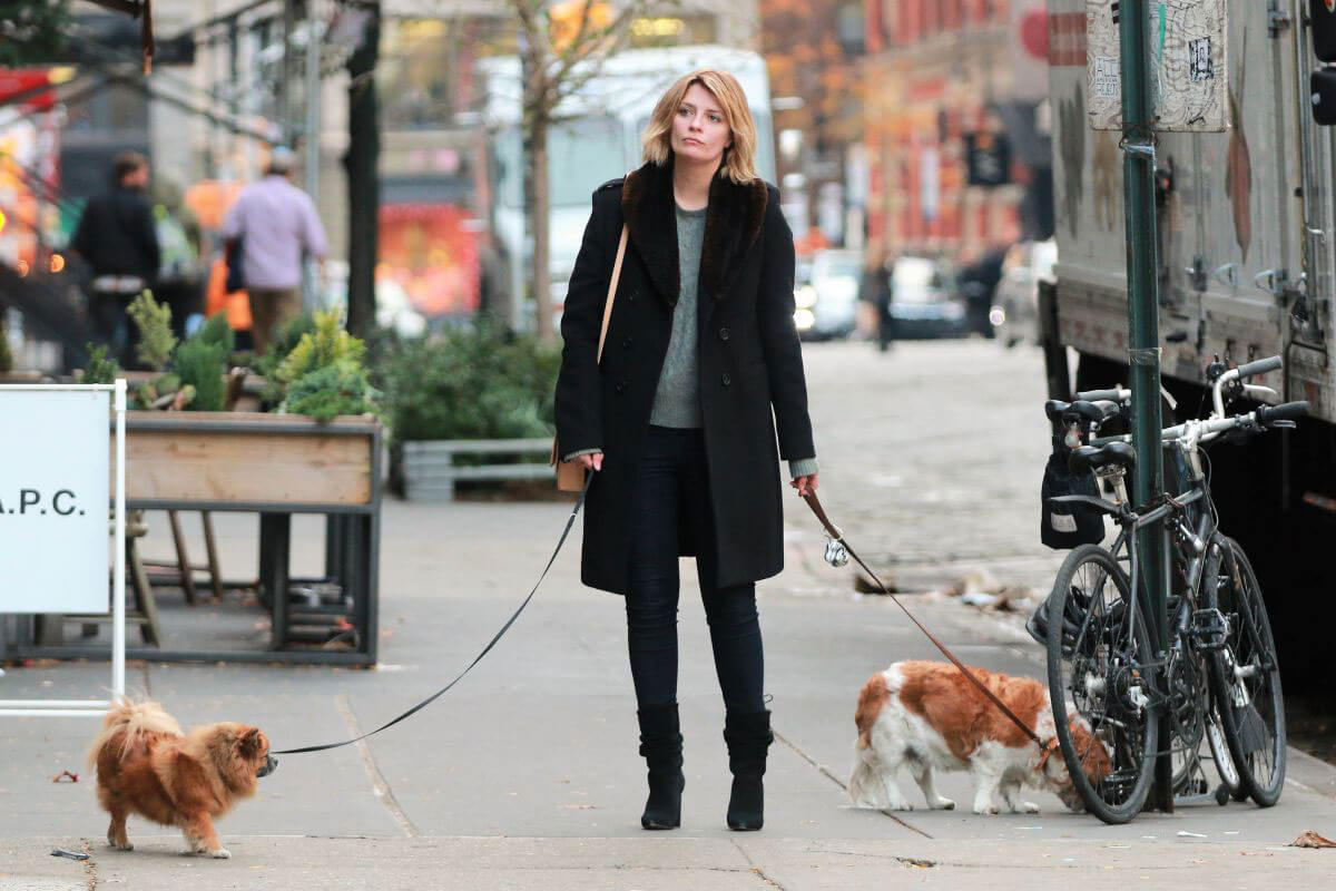 Mischa Barton Stills Walks Her Dogs in New York 2017/11/13