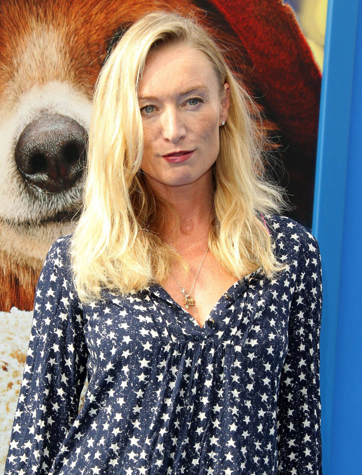 Victoria Smurfit Stills at Paddington 2 Premiere in Los Angeles 2018/01/06