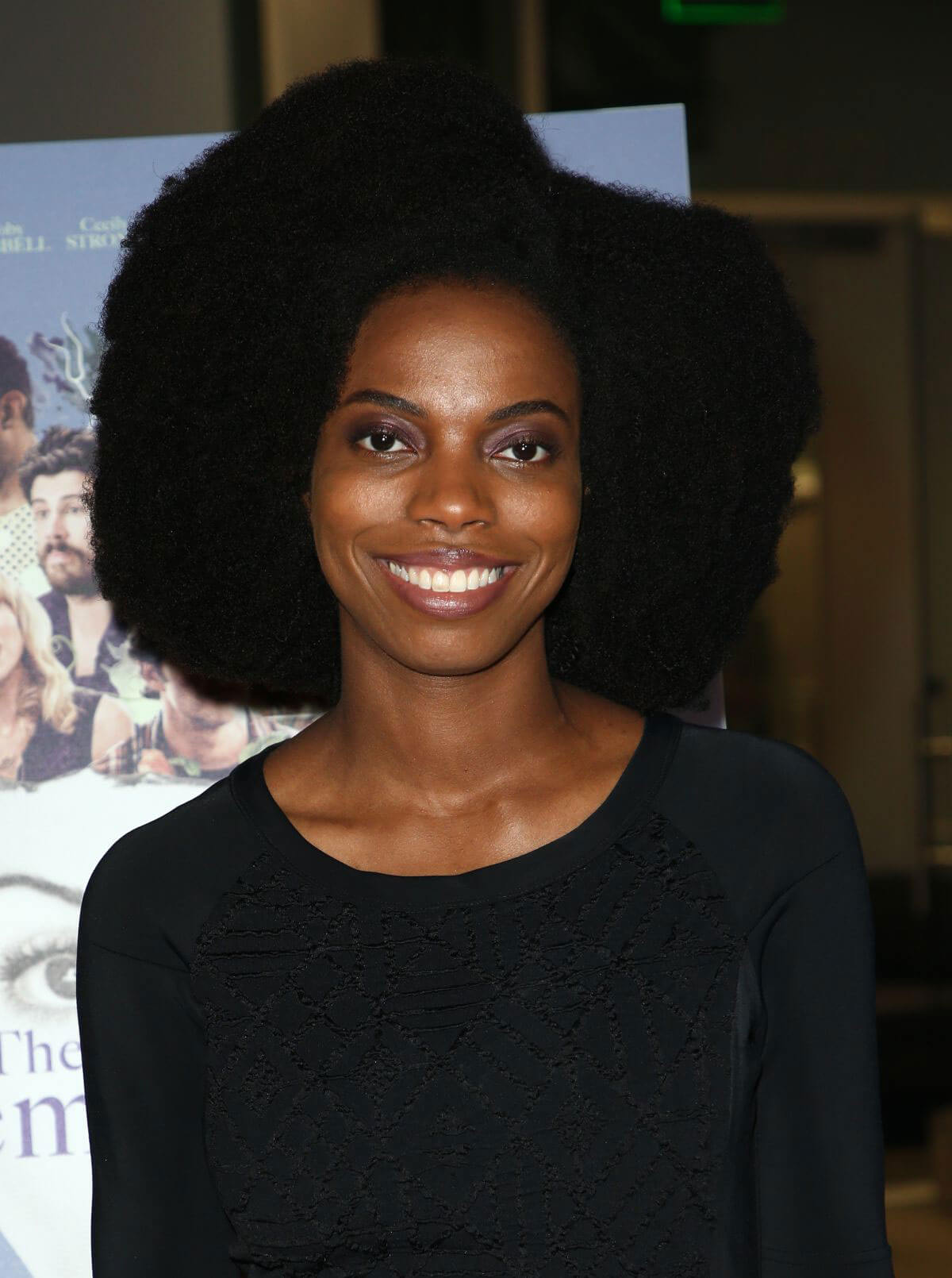 Sasheer Zamata Stills at The Female Brain Premiere in Los Angeles 2018/02/01