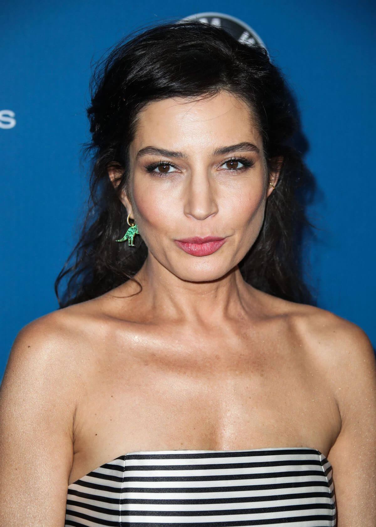 Reed Morano Stills at 2018 Directors Guild Awards in Los Angeles 2018/02/03