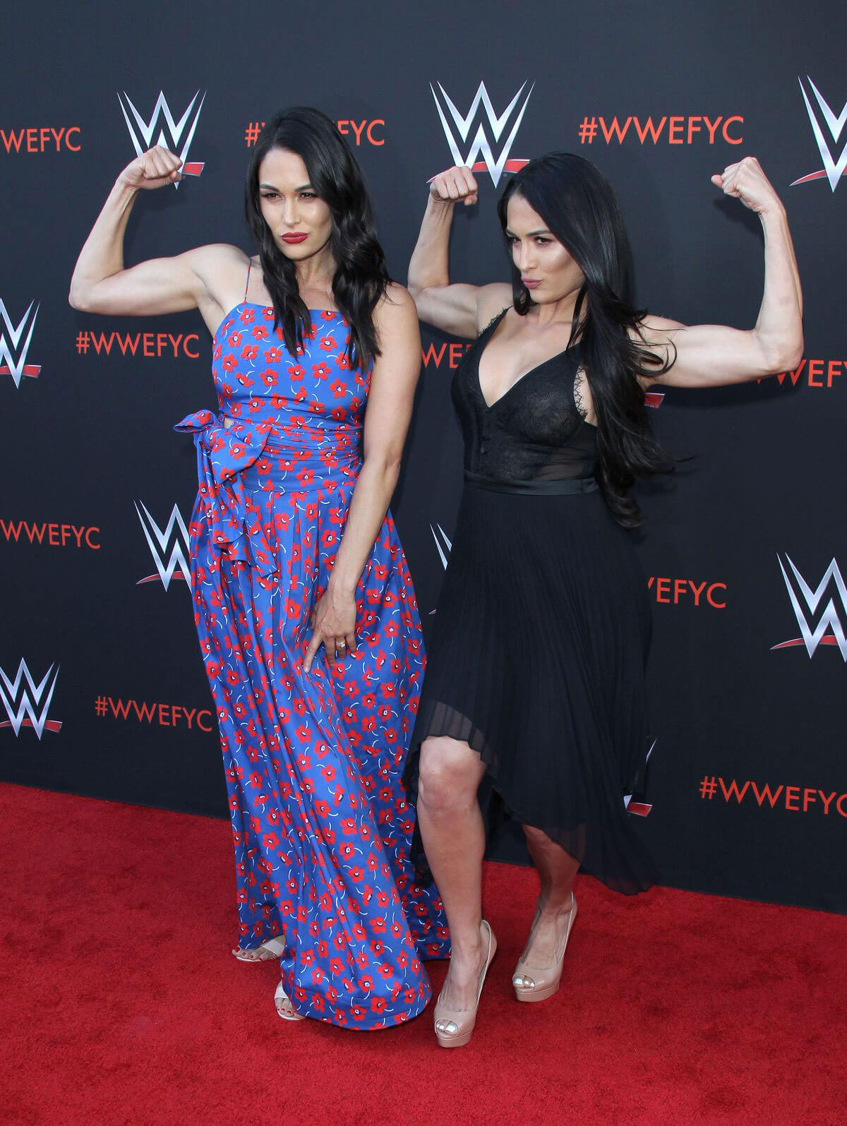 Brie and Nikki Bella Stills at WWE FYC Event in Los Angeles 2018/06/06