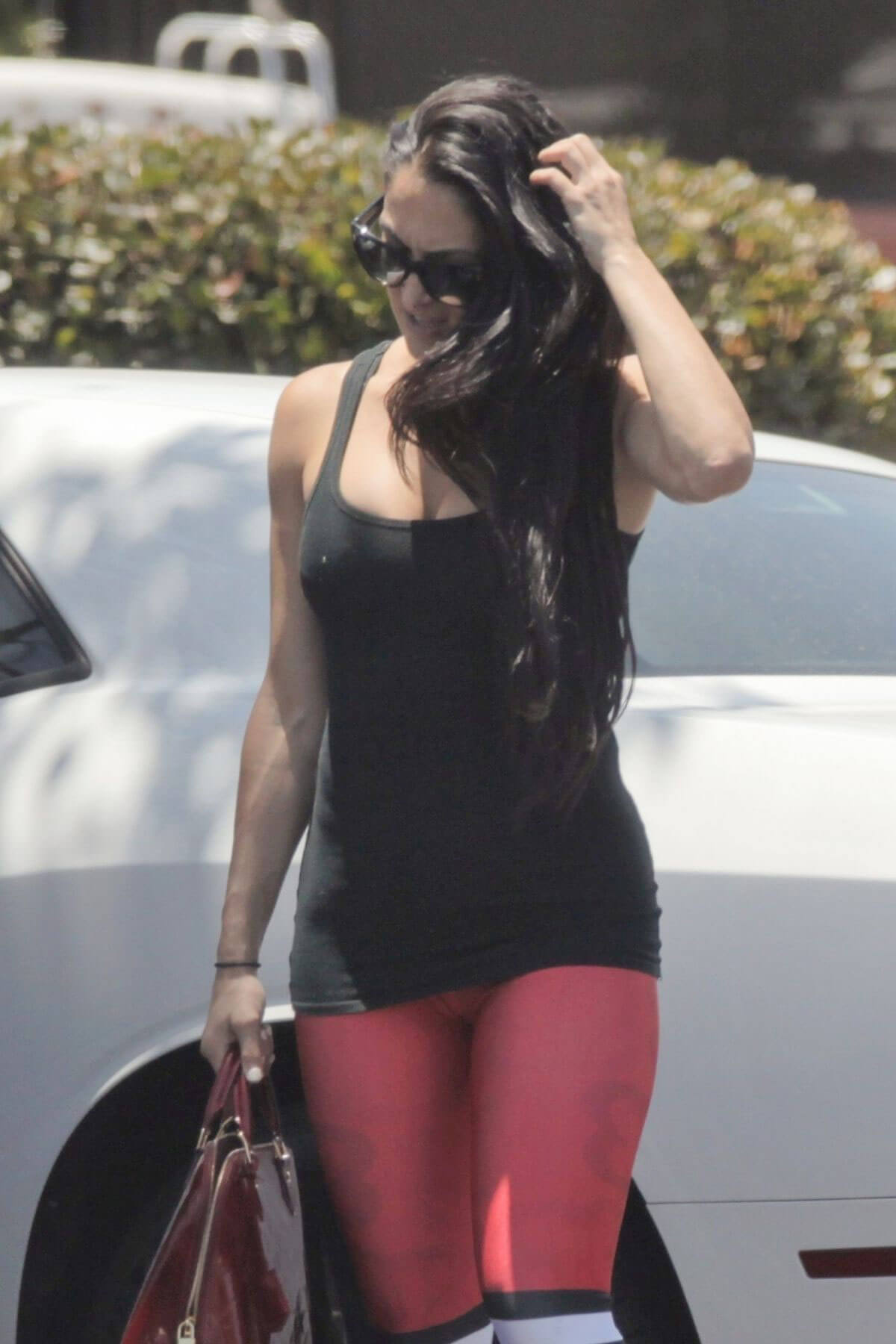 Nikki and brie bella Stills arrives at a gym in mission bay 2018/06/02