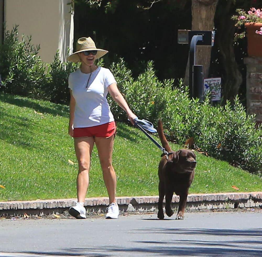 Reese Witherspoon Out with Her Dog in Beverly Hills 2018/06/09