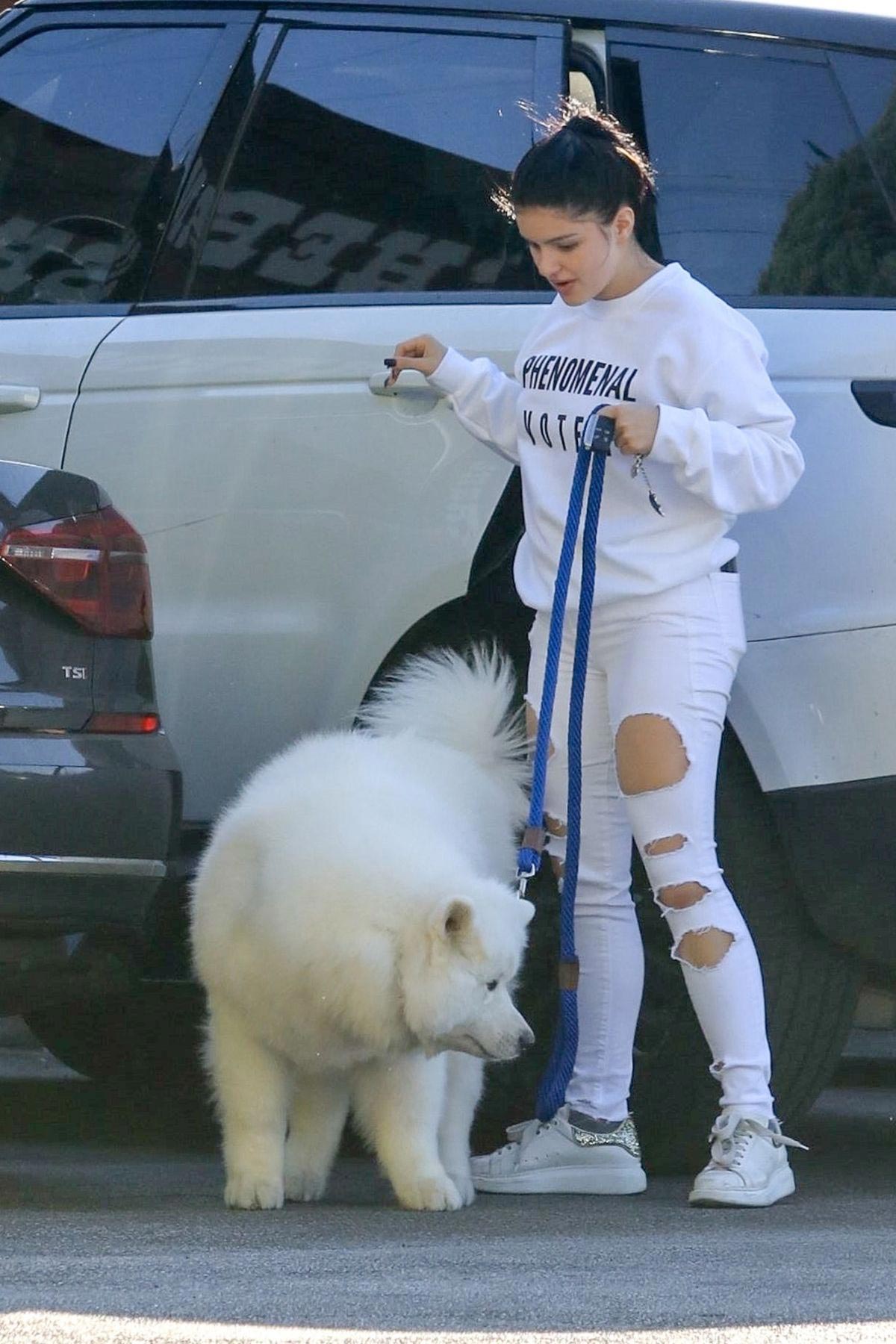 Ariel Winter at a Vet Office in Studio City 2018/11/05