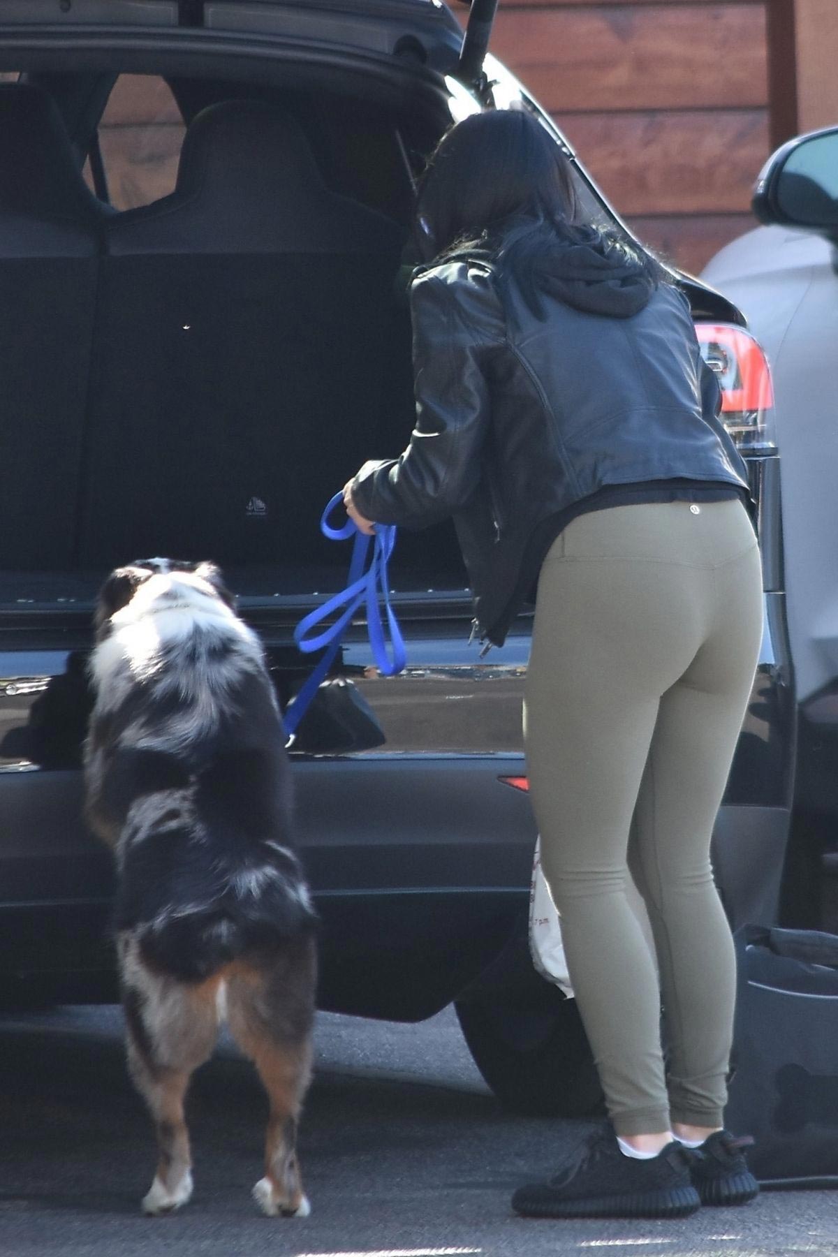 Ariel Winter Taking Her Dog to Vet in Sherman Oaks 2018/11/25