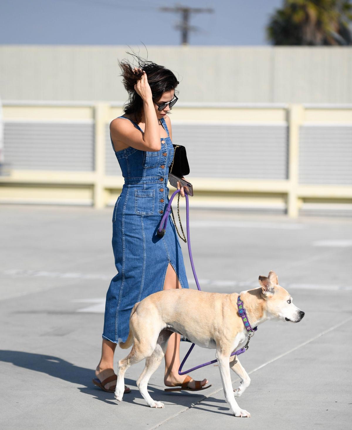 Jenna Dewan Out with Her Dog Lulu in Los Angeles 2018/11/24