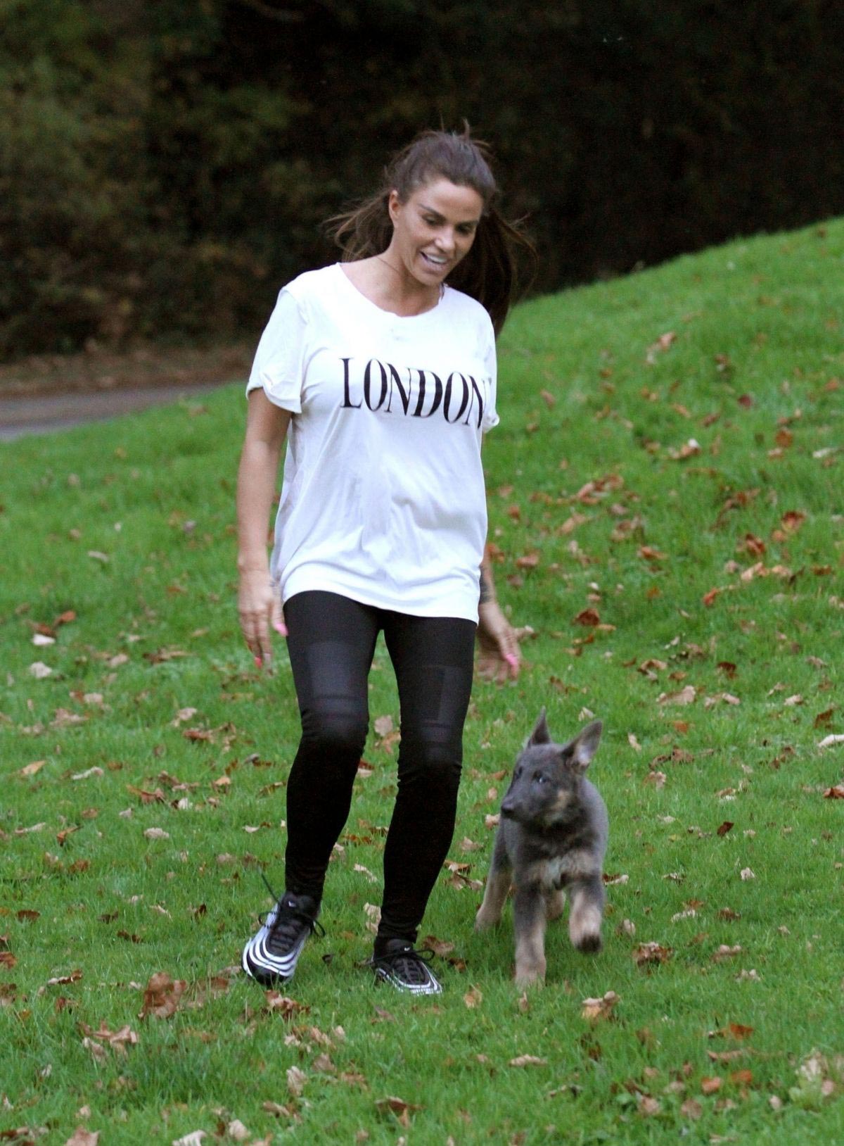 Katie Price Trains Her Dog at a Park in Brighton 2018/11/25