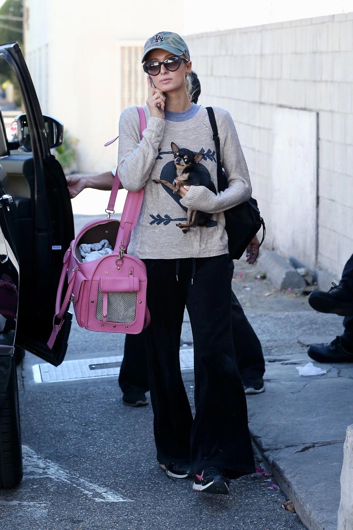 Paris Hilton Out with Her Dog in Beverly Hills 2018/11/02