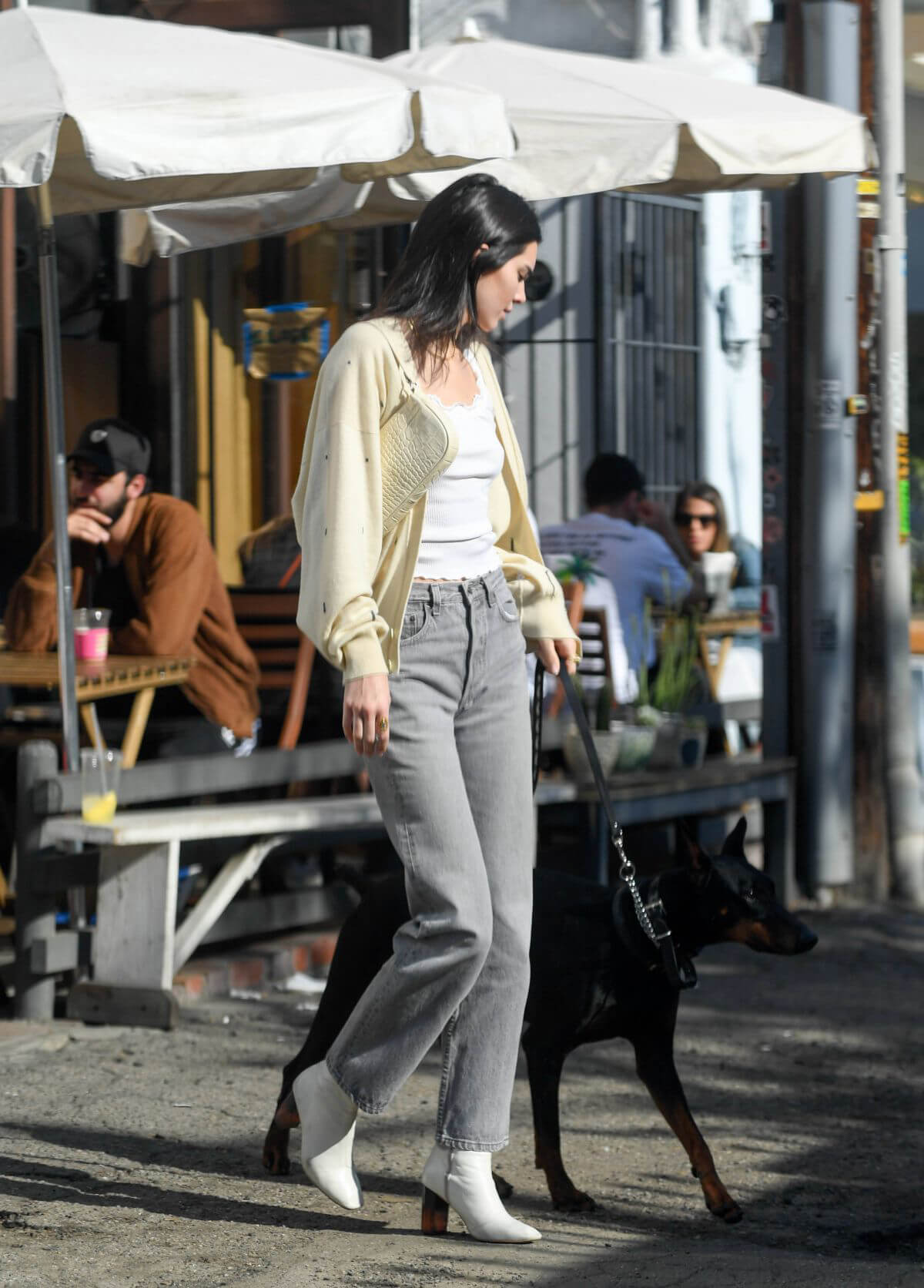 Kendall Jenner Out with Her Dog in Los Angeles 2018/12/16